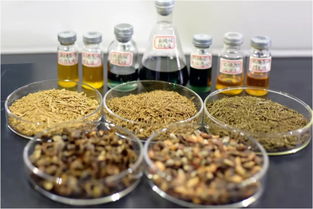 鄭州大學賈陸教授團隊突破創新 金絲楠木提取物研發獲國家專利，植物提取技術再攀高峰